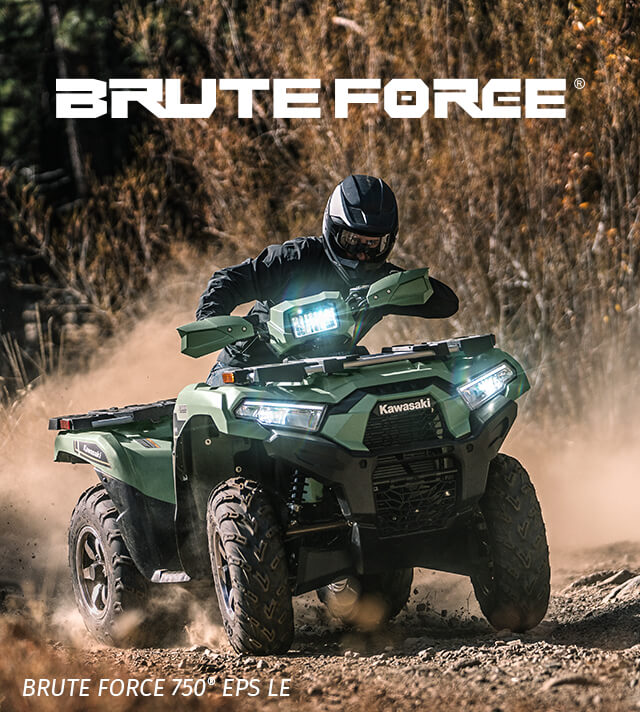 Brute Force FAMILY:  SMALL IMAGE