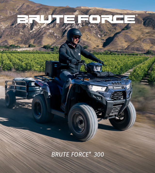 Brute Force FAMILY: SMALL IMAGE