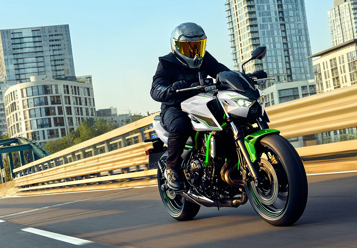 KAWASAKI TERYX: TERYX LE
